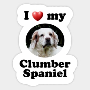 I Love My Clumber Spaniel Sticker